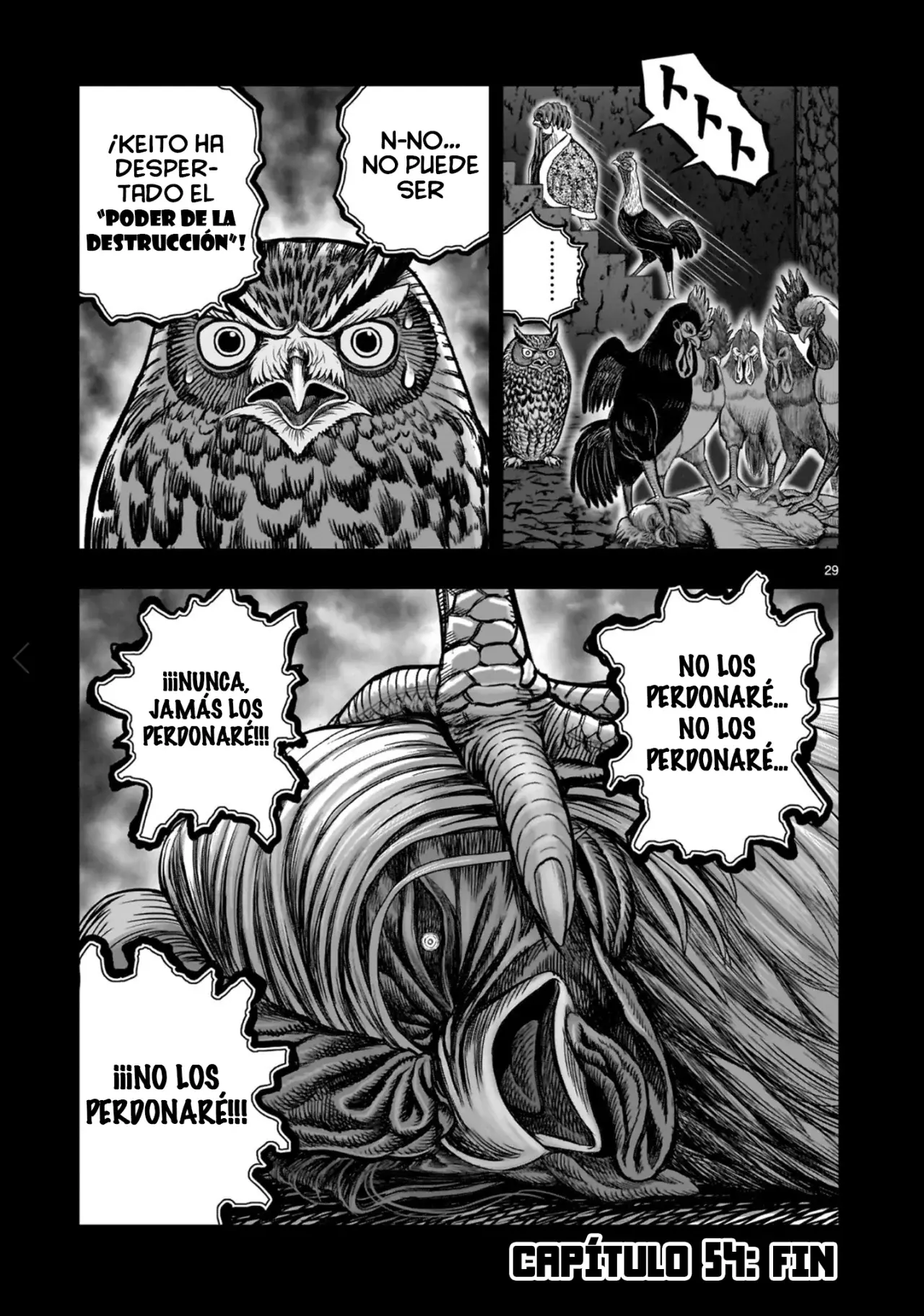Read Rooster Fighter ES Manga Online
