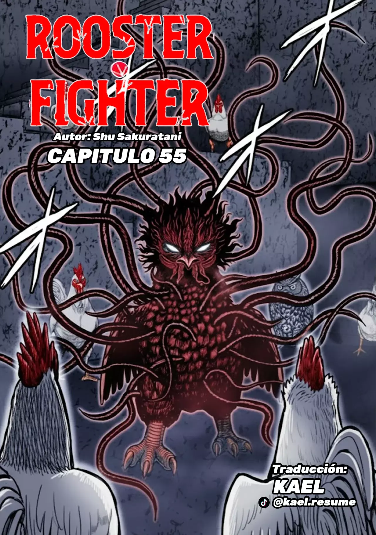 Read Rooster Fighter ES Manga Online