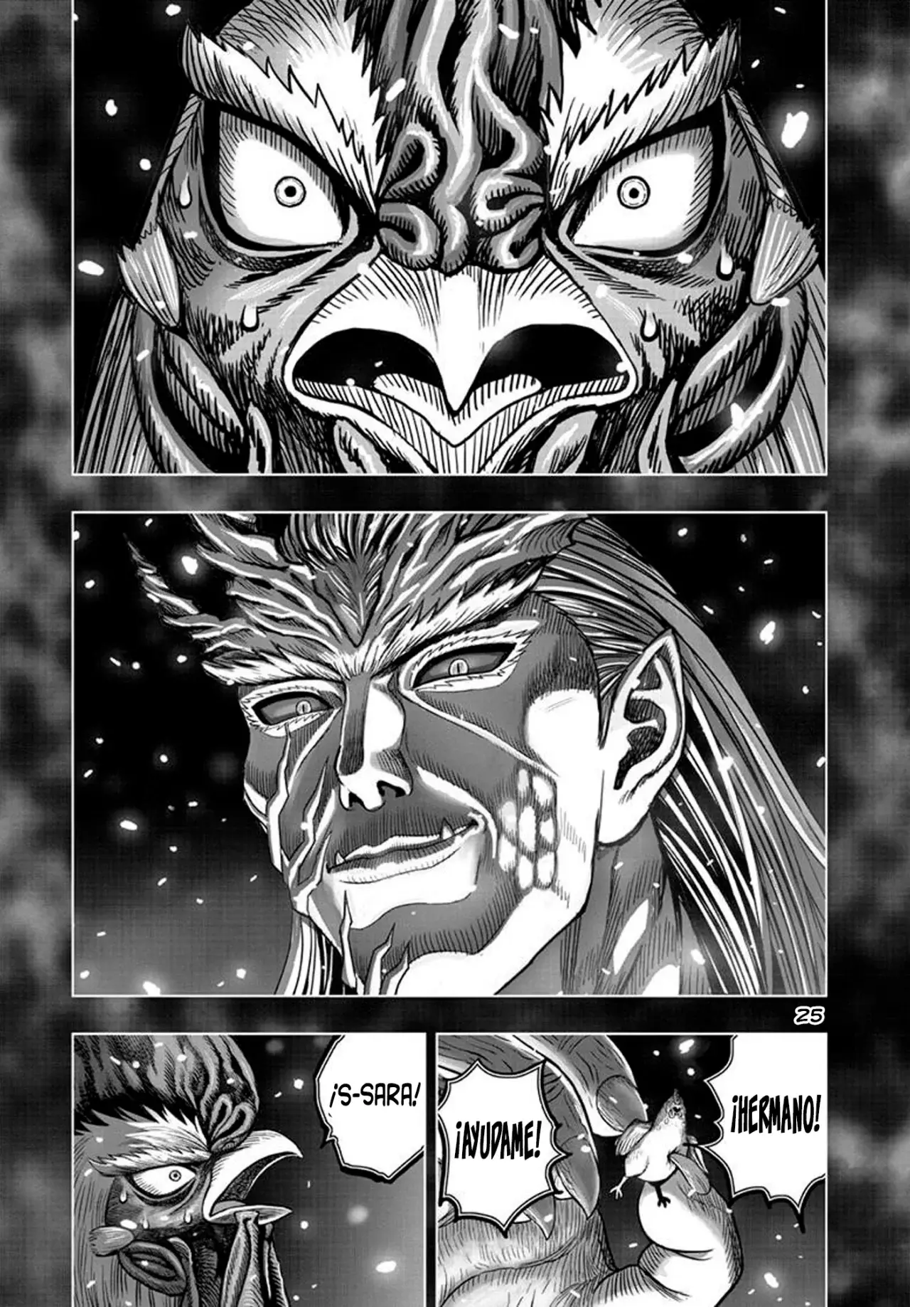 Read Rooster Fighter ES Manga Online