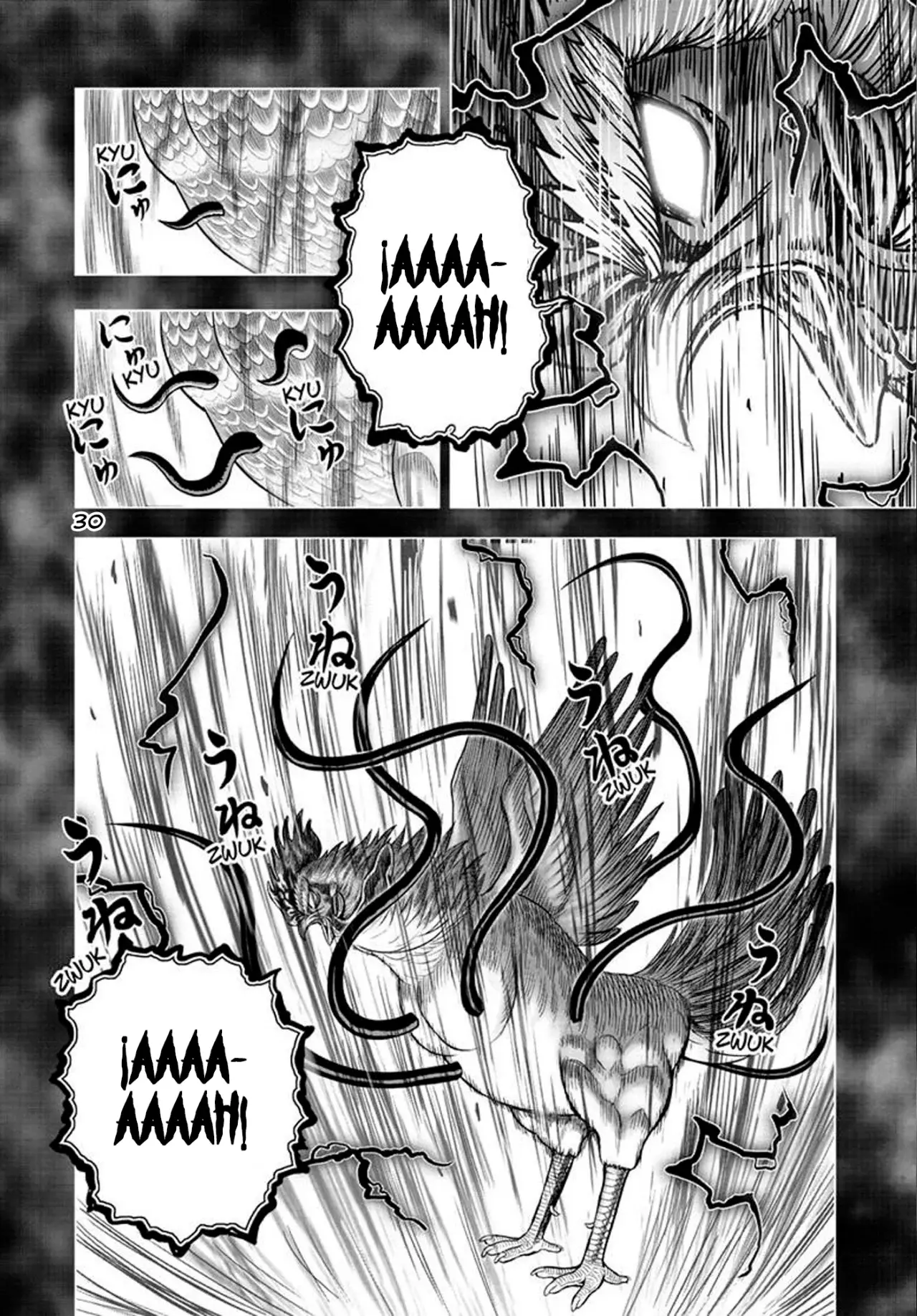 Read Rooster Fighter ES Manga Online