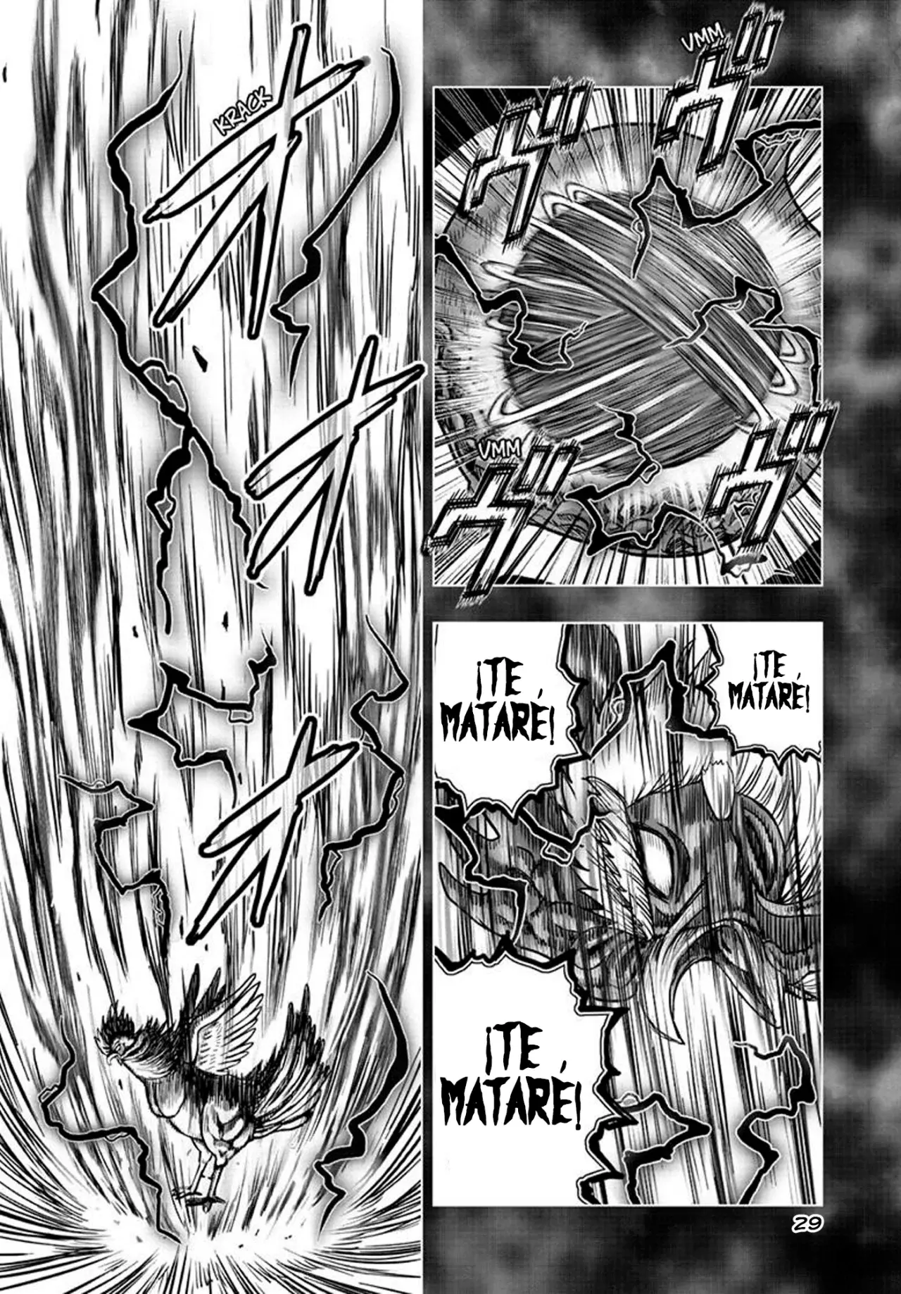 Read Rooster Fighter ES Manga Online