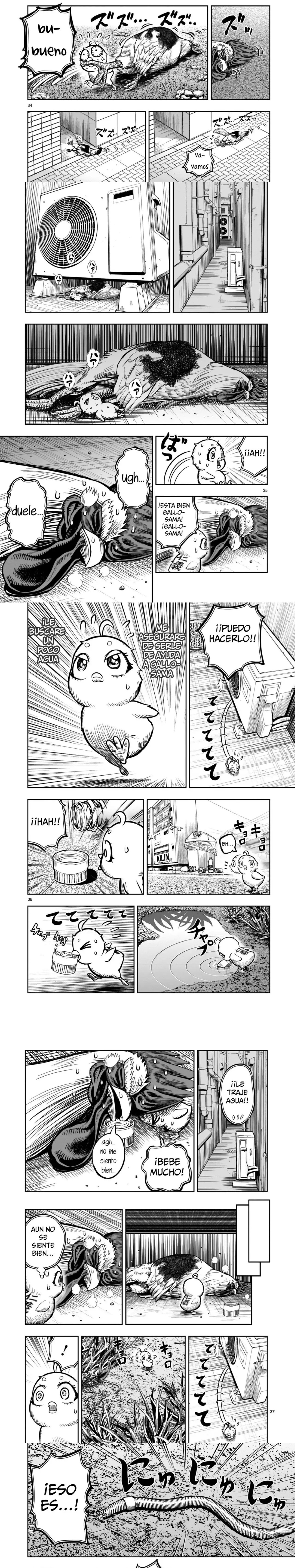 Read Rooster Fighter ES Manga Online