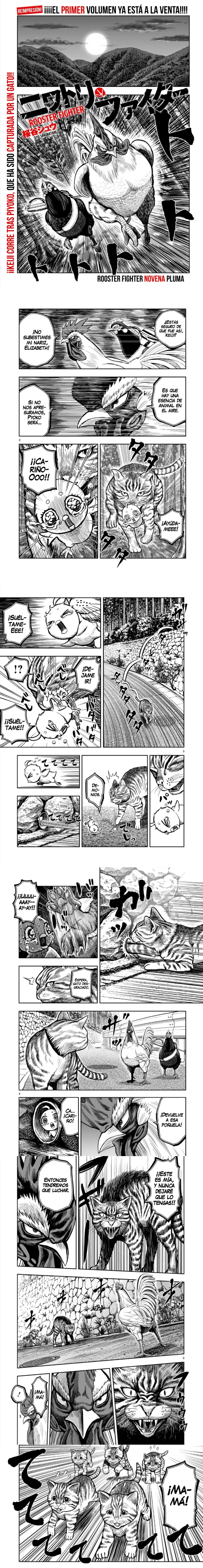 Read Rooster Fighter ES Manga Online