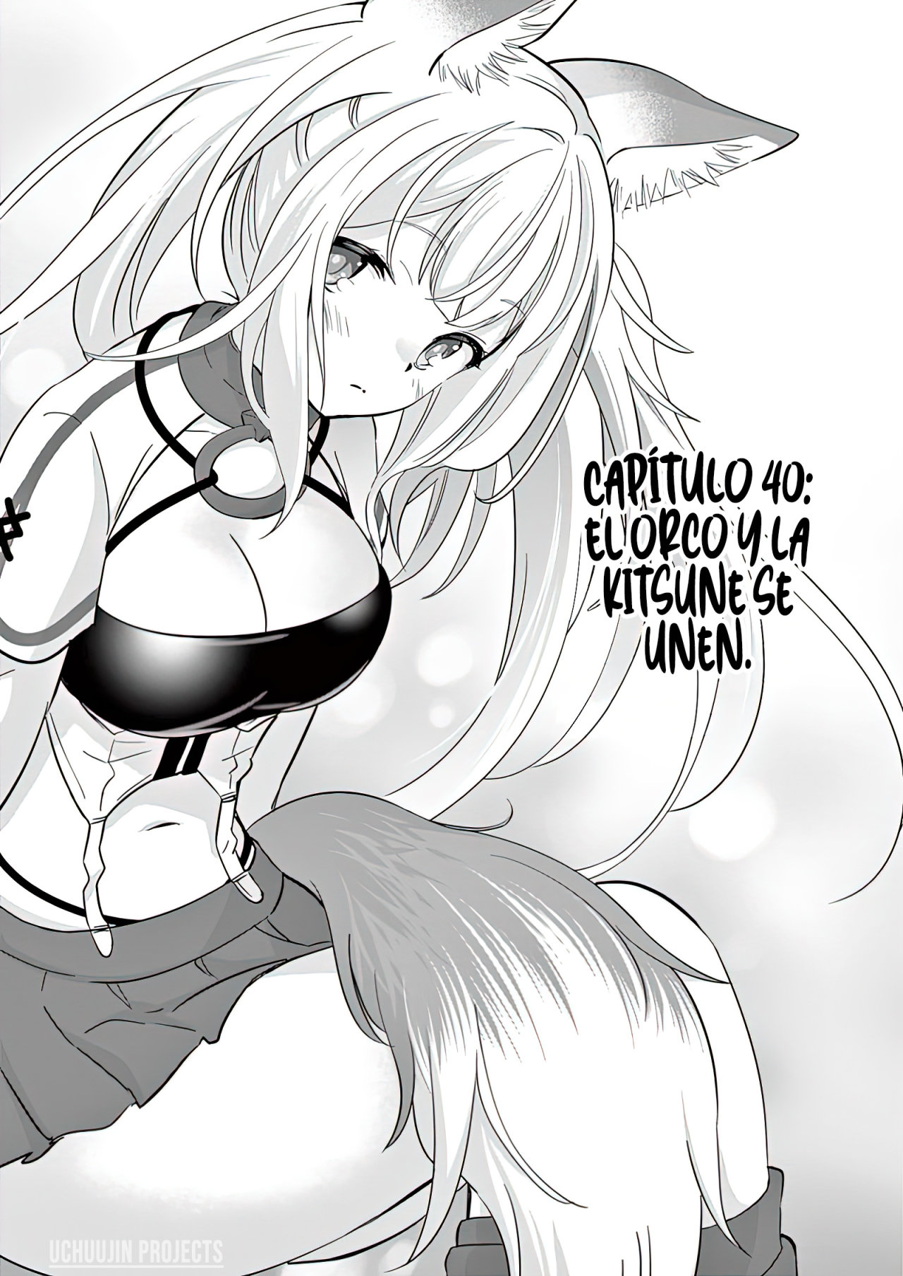 Read Shijou Saikyou Orc-san no Tanoshii Isekai Harem-zukuri ES Manga Online